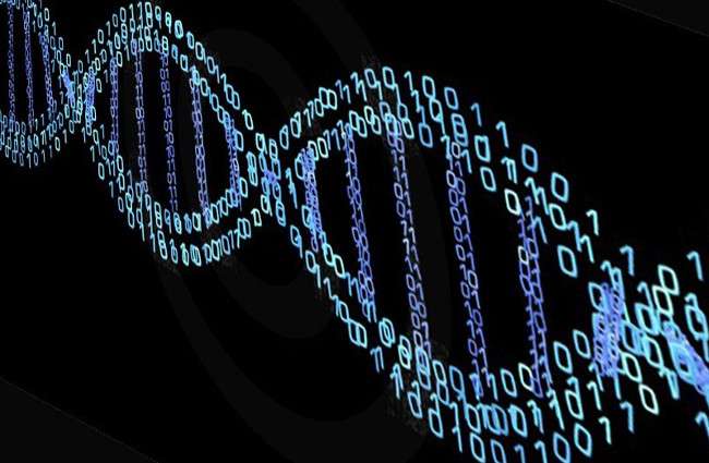 Stylized image of DNA