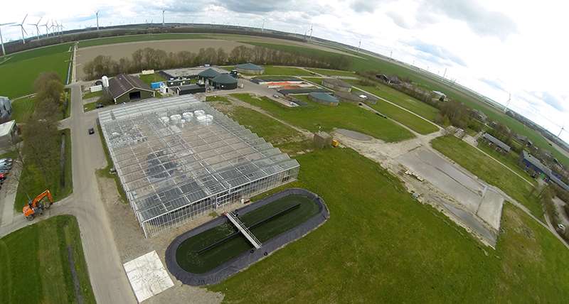 Successful biobased pilot installations in Lelystad fully operational for businesses