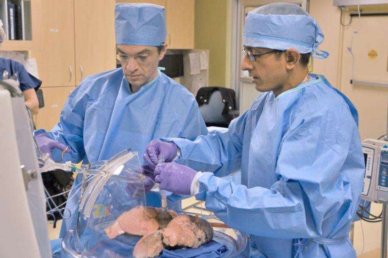 Surgeons test technology with potential to expand lung transplant donor pool