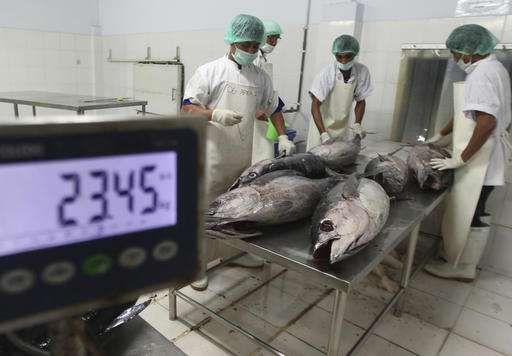 Tech solutions to tackle overfishing, labor abuse at sea