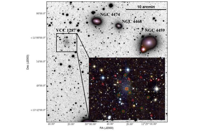 The dark side of the fluffiest galaxies