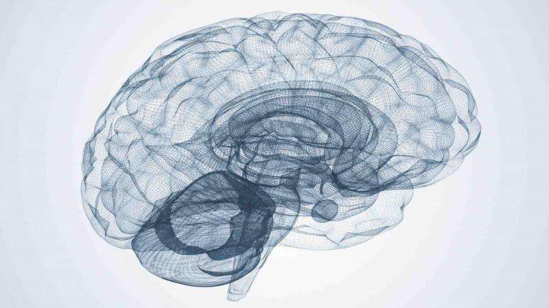 The link between nature, nurture and brain disorders