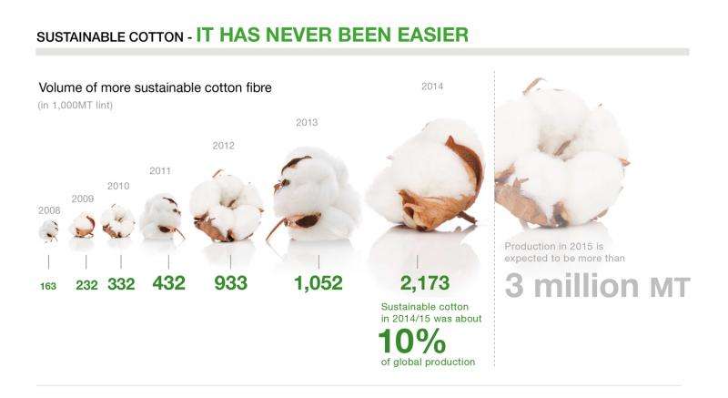 Top brands failing on cotton sustainability
