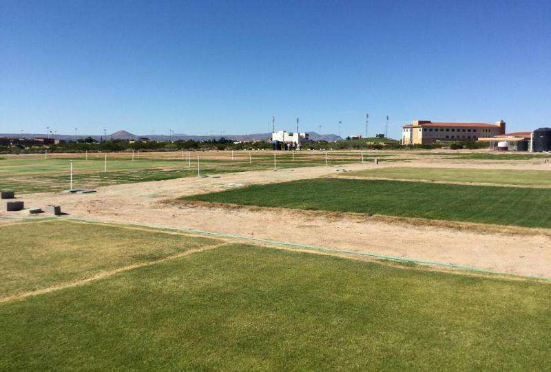 Turfgrass researchers focus on irrigation efficiency, outreach efforts