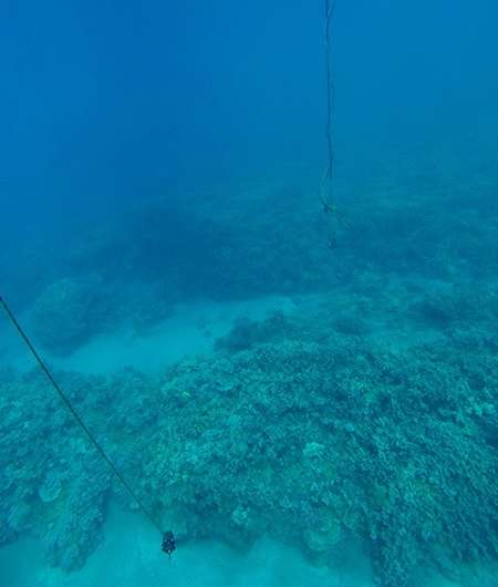 Underwater soundscape may offer clues to coral health and aid reef conservation