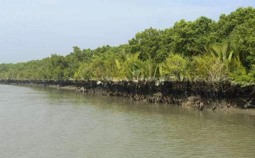 UNESCO urges halt to plan for Bangladesh coal plant in delta