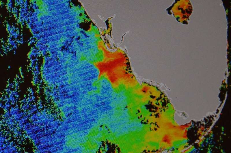 Researchers expect no major red tide outbreaks on Florida's west coast