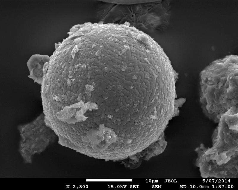What a tiny micrometeorite from the Pilbara can tell us about the ancient sky