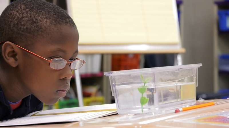 When fish come to school, kids get hooked on science
