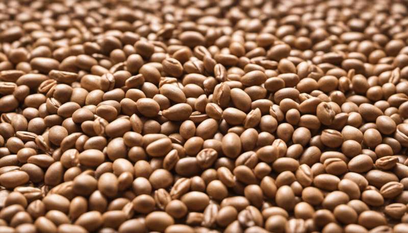 Why beans, peas and lentils are the eco-friendly option for feeding the world