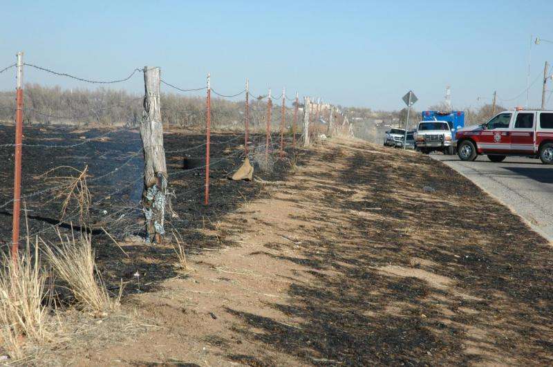 Wildfire dangers increase with high winds, lack of moisture