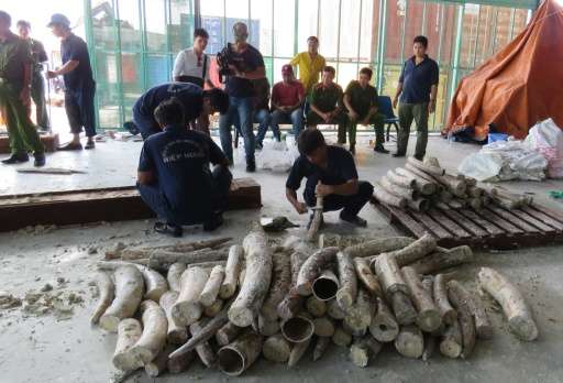 Workers remove ivory hidden in timber as policemen and officials look on at Cat Lai port in Ho Chi Minh City