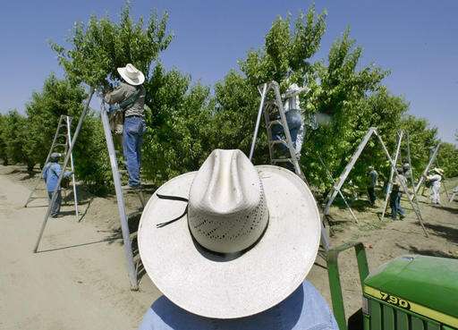 California to ban some pesticides near schools
