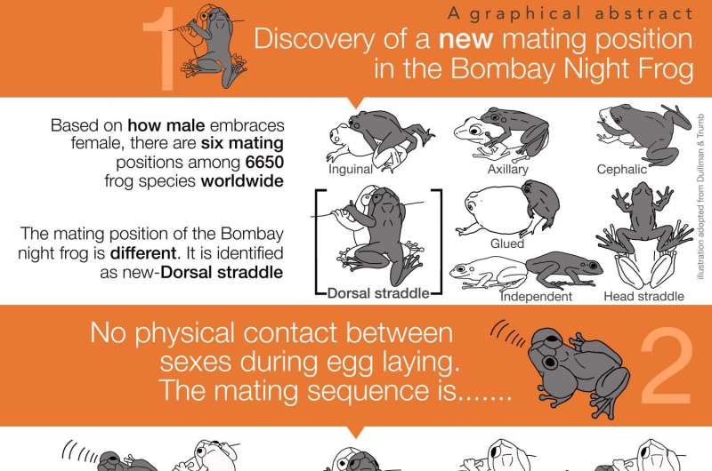 Discovery of a new mating position in frogs