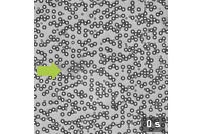 New method for selectively controlling the motion of multiple sized microspheres suspended in water