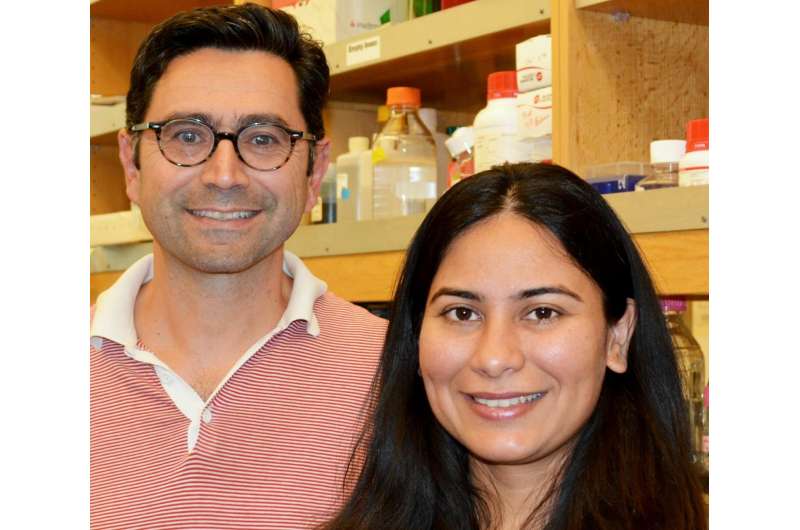 TSRI scientists discover how protein senses touch