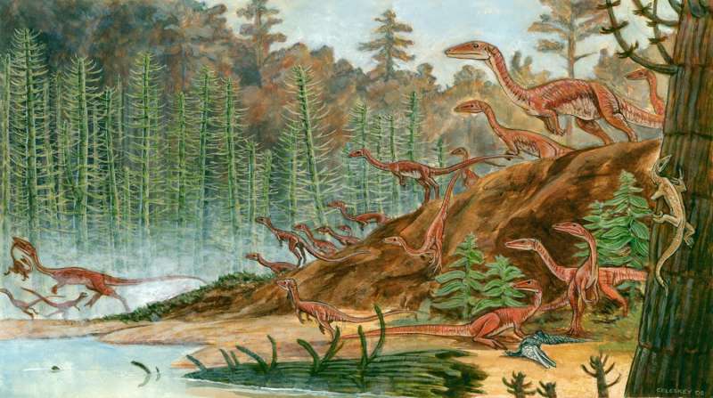 Virginia Tech geoscientists size-up early dinosaurs, find surprising variation