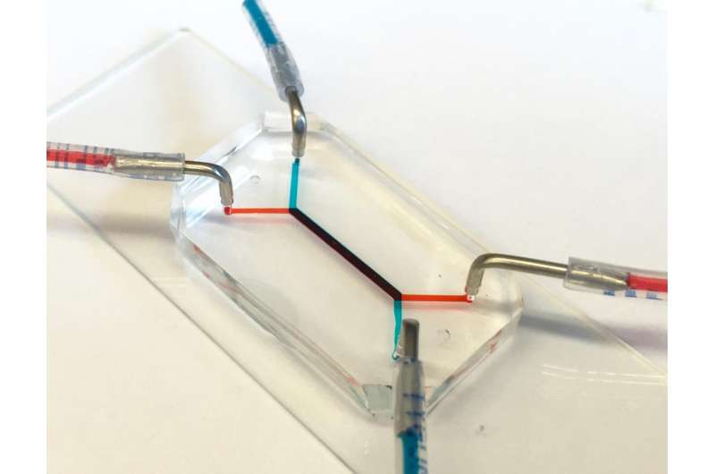 Researchers develop placenta-on-a-chip