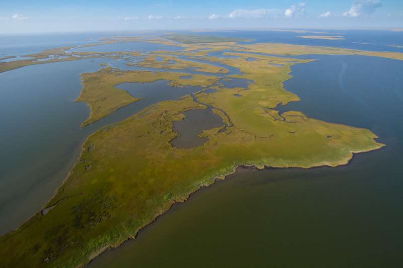 Scientists release recommendations for building land in coastal Louisiana