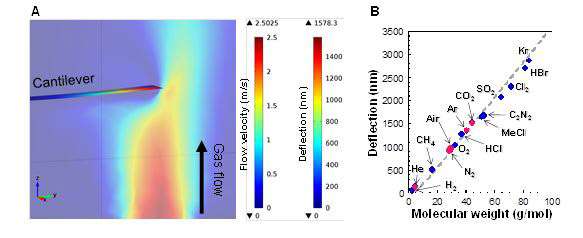 Development of a novel mass analysis technique that can be performed even with an ordinary business card