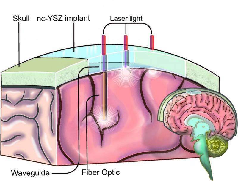 Scientists move closer to developing therapeutic window to the brain