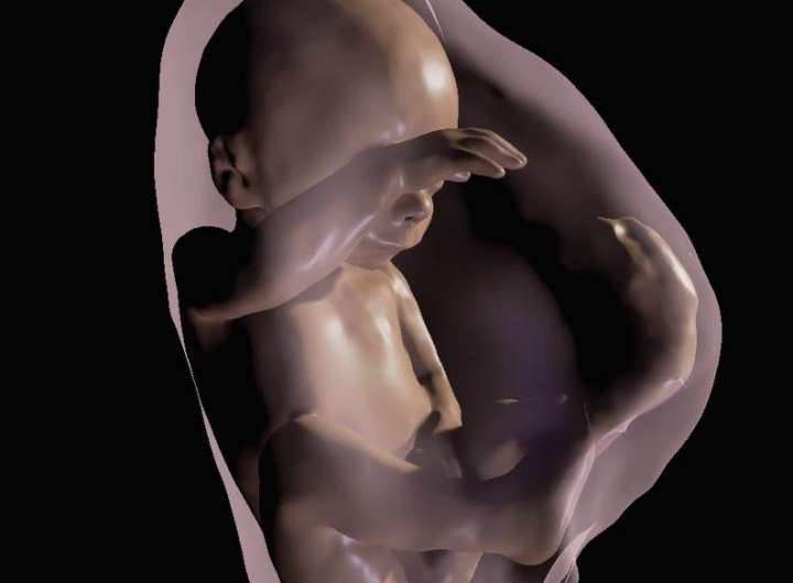 Researchers generate 3-D virtual reality models of unborn babies