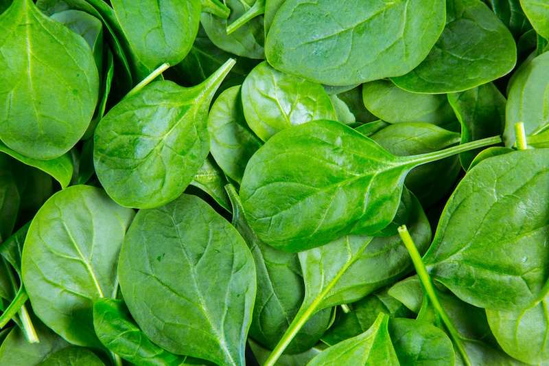 Researchers discover a cell in spinach that uses sunlight to produce electricity and hydrogen