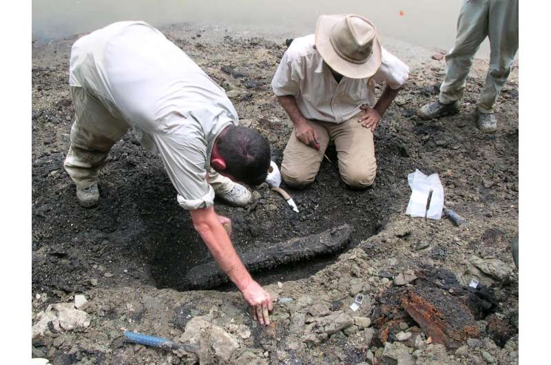 13-million-year-old 'storyteller' crocodylian fossils show evidence for parallel evolution