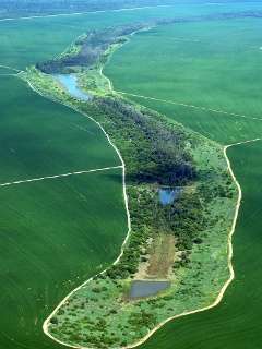Climate change, dams, deforestation a vicious cycle for Amazon rivers, lakes