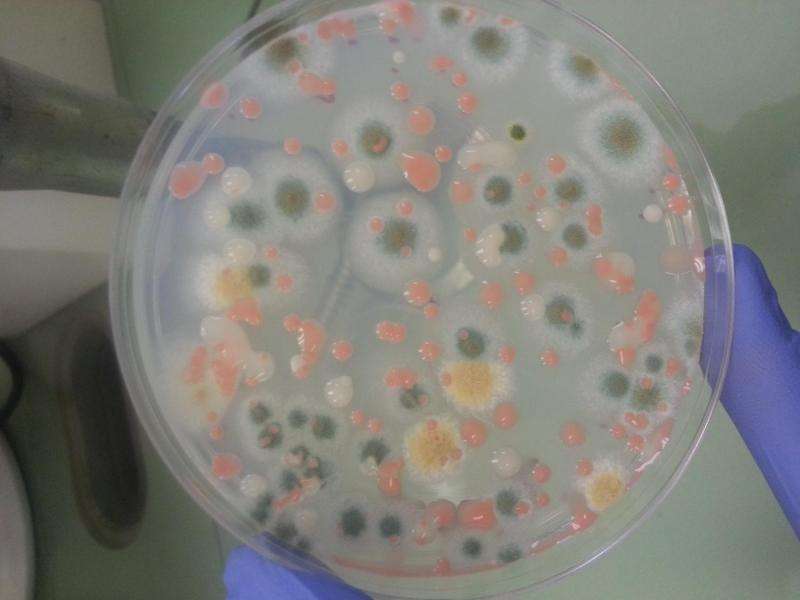 New research collaboration explores microbiome of the space station