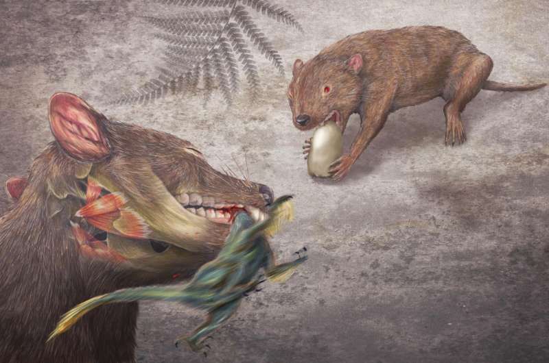 New study finds mammals during age of dinosaurs packed a powerful bite