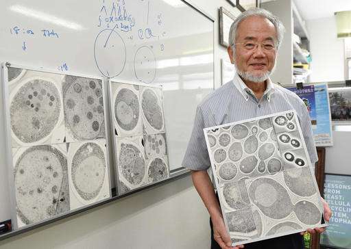 Nobel Prize for Japanese who unraveled cell recycling system