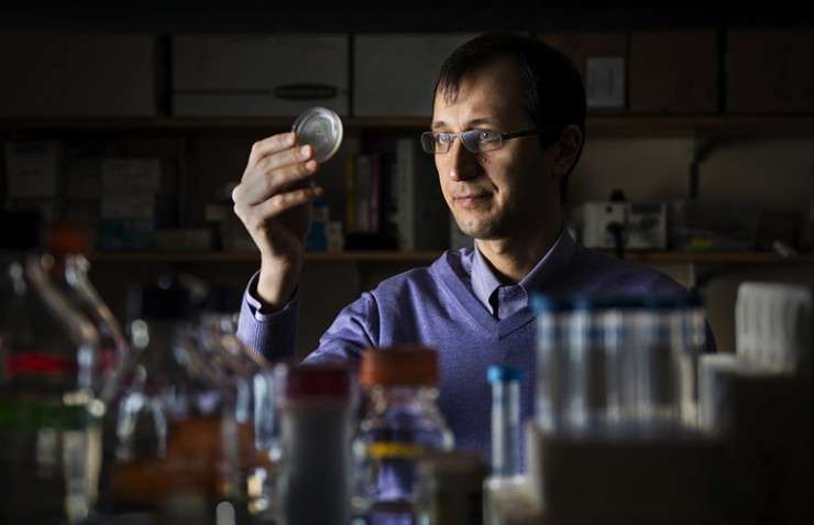 Researcher studies worms to reveal the fountain of youth