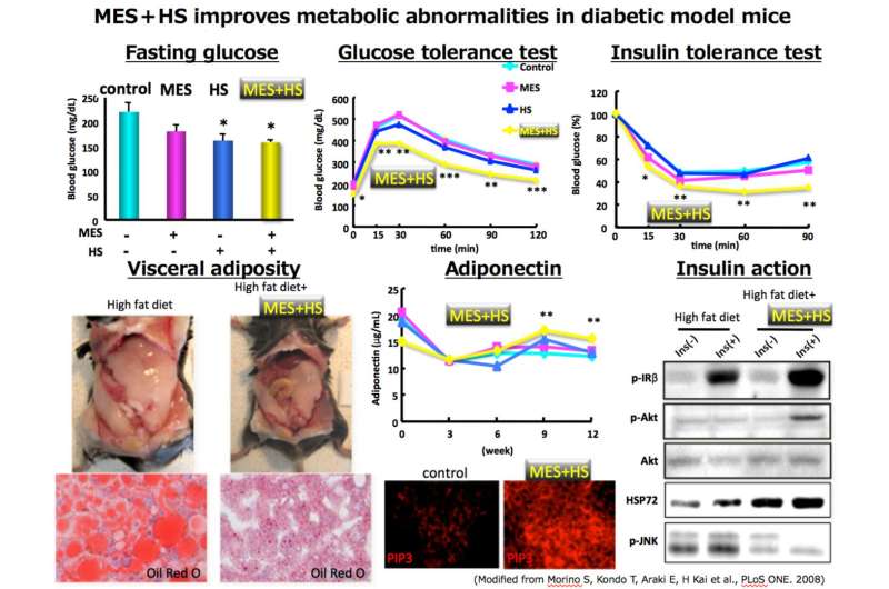 Development of a wearable medical device for type 2 diabetes