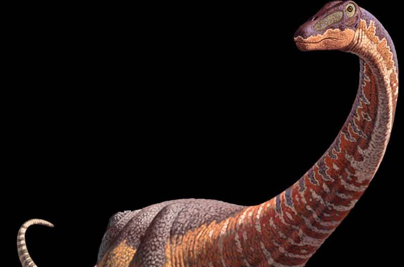 Newly discovered baby Titanosaur sheds light on dinosaurs' early lives