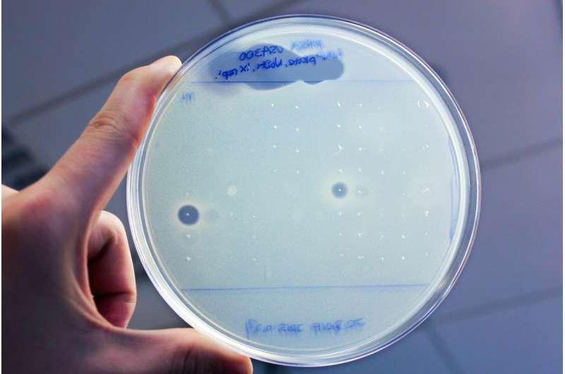 Researchers discover new antibiotics by sifting through the human microbiome