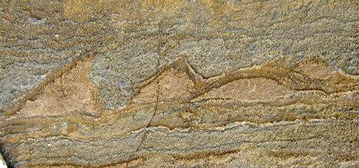 Scientists find 3.7 billion-year-old fossil, oldest yet