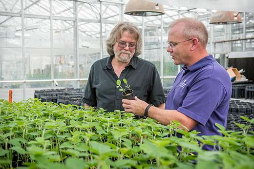 Environmentally friendly invention may save soybean industry millions of dollars per year
