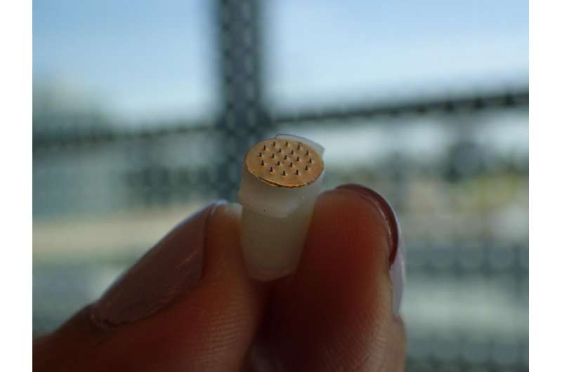 Scientists develop painless and inexpensive microneedle system to monitor drugs