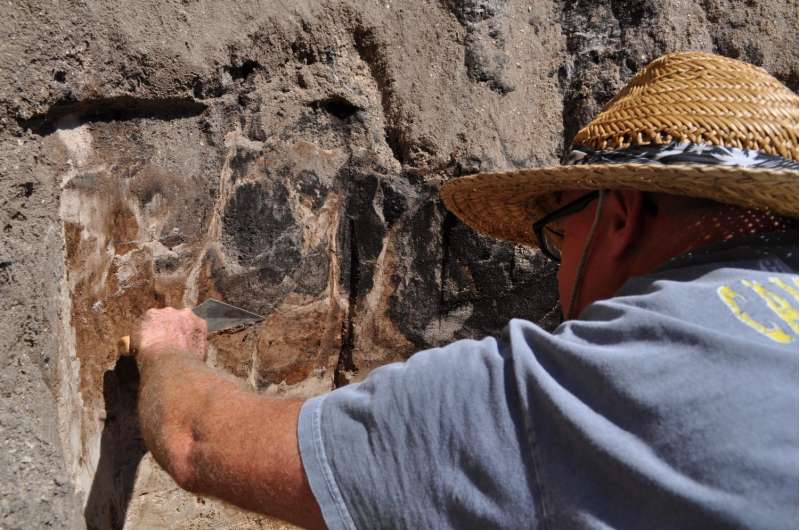 Archaeologists uncover 13,000-year-old bones of ancient, extinct species of bison