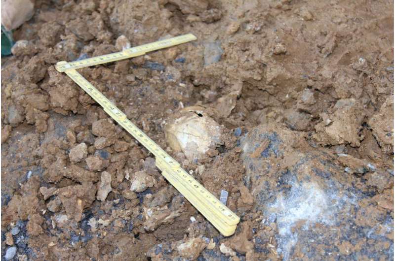 An exceptional palaeontological site going back 100,000 years is unearthed in Arrasate