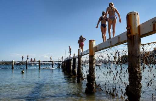 Children play on a shark net in Sydney's Little Manly Cove
