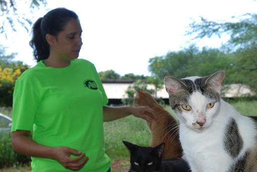 Deadly cat poop causes rift among animal defenders in Hawaii