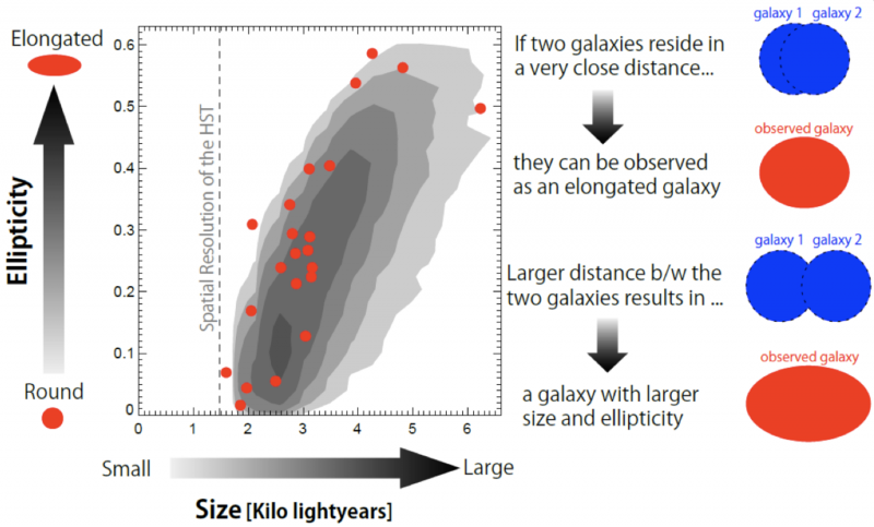 Deciphering compact galaxies in the young universe