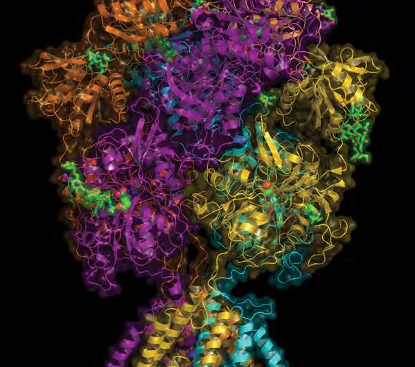 Detailed images of NMDA receptors help explain how zinc and a drug affect their function