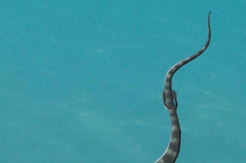 Did snakes evolve from ancient sea serpents?
