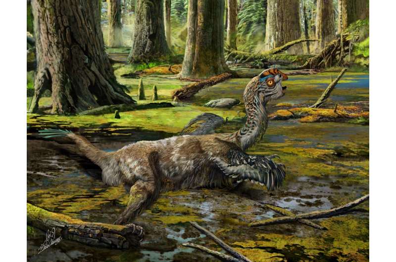 Dinosaur discovery casts light on final flurry of animals' evolution