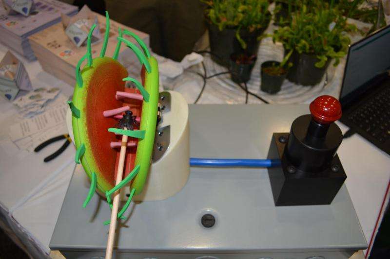 Engineers build Venus flytrap robot