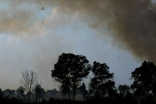 Forest fires in Ogan Ilir, Indonesia's South Sumatra province