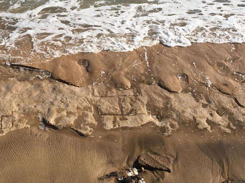 Hawaiian petroglyphs revealed by shifting sands on Waianae coast